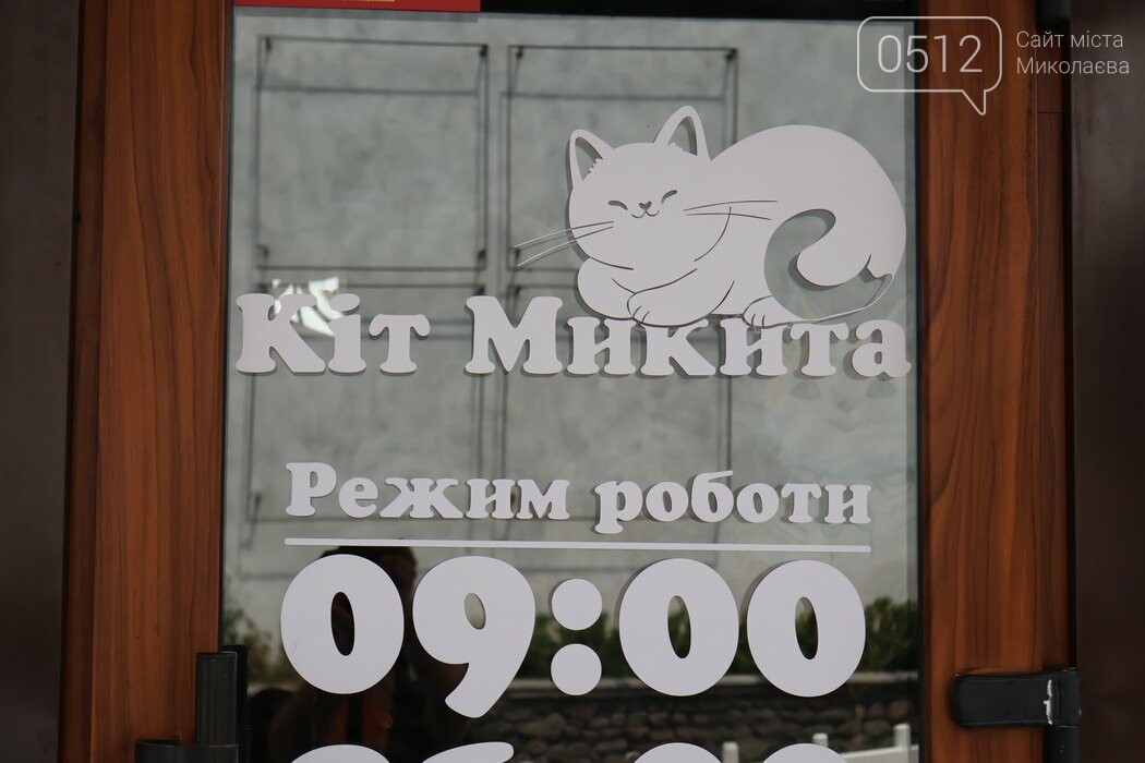 "Кот Никита": кофейня памяти героя, созданная женой в сердце Николаева