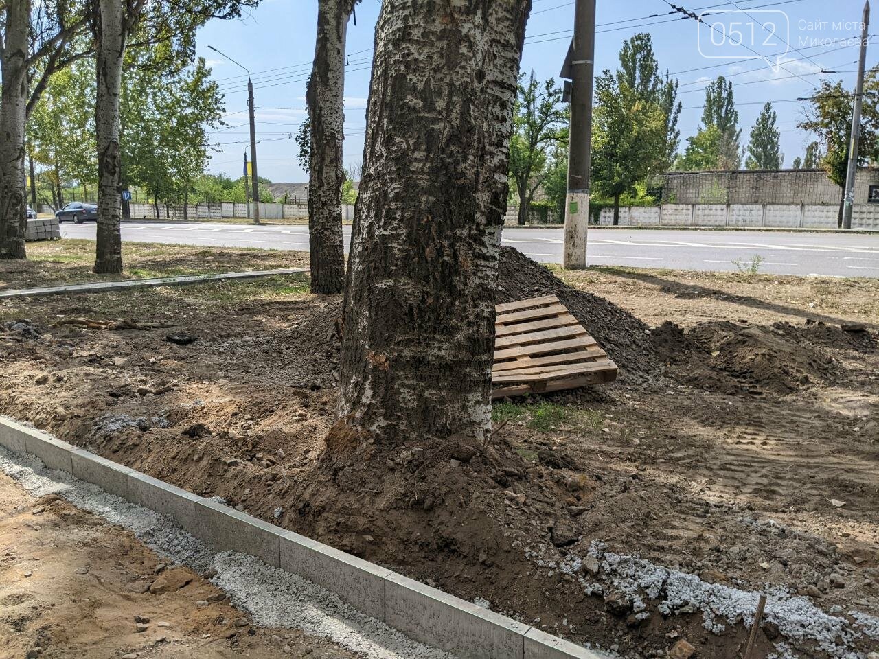 Поврежденные деревья по ПГУ при обустройстве нового тротуара