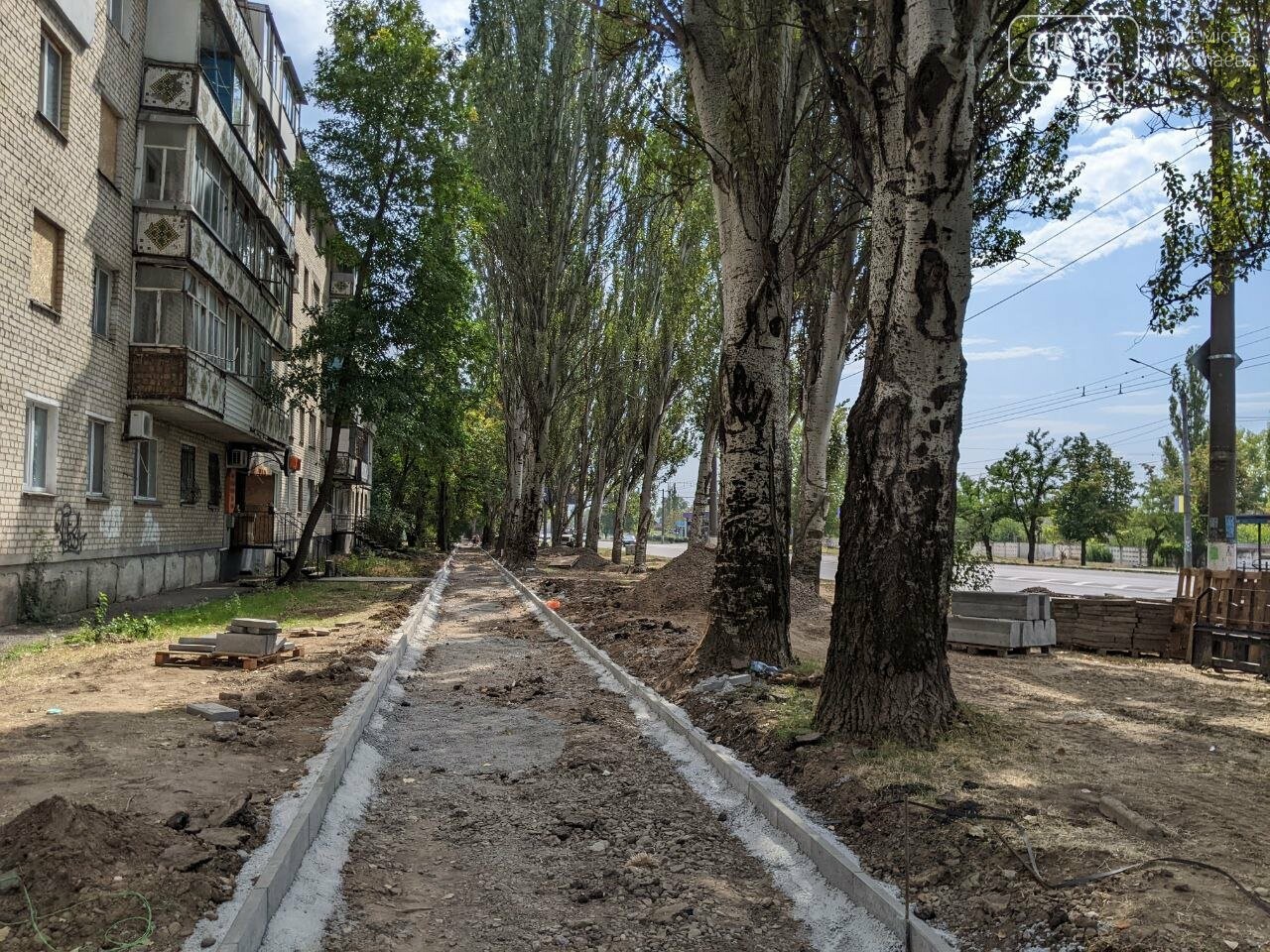Повреждение пяти тополей и абрикосов: в Николаеве экоинспекция фиксирует последствия ремонта тротуара на ПГУ
