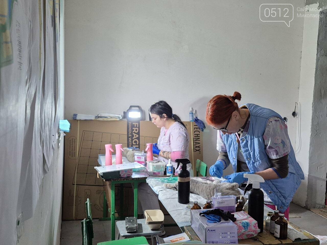 Стерилизация животных в Киселевке, Николаевщина, ноябрь 2025 года. Фото 0512