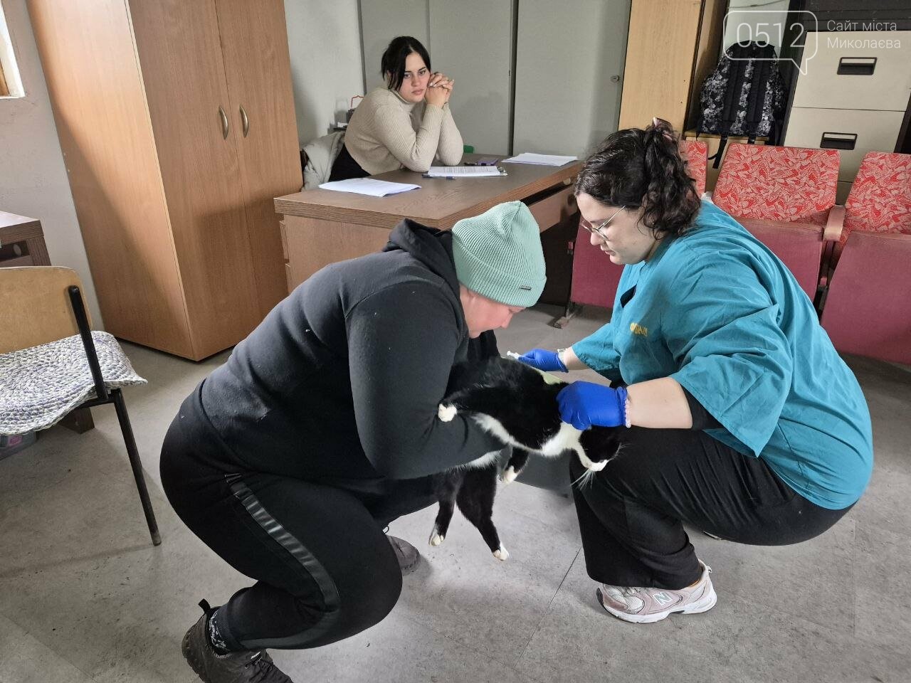 Стерилізація тварин у Киселівці, Миколаївщина, листопад 2025. Фото 0512 Стерилізація тварин у Киселівці, Миколаївщина, листопад 2025. Фото 0512