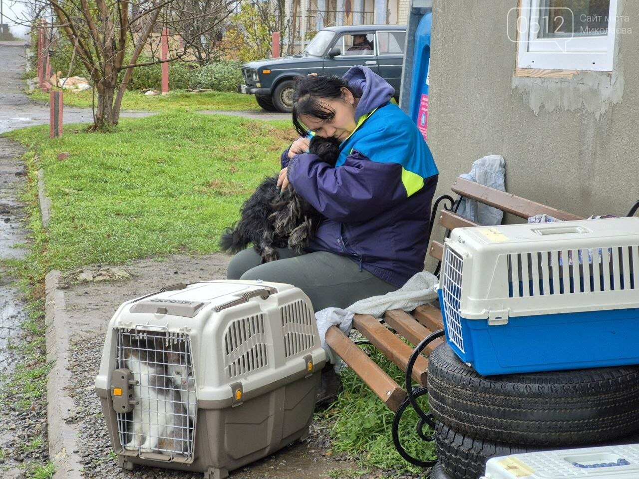 Стерилізація тварин у Киселівці, Миколаївщина, листопад 2025. Фото 0512 Стерилізація тварин у Киселівці, Миколаївщина, листопад 2025. Фото 0512