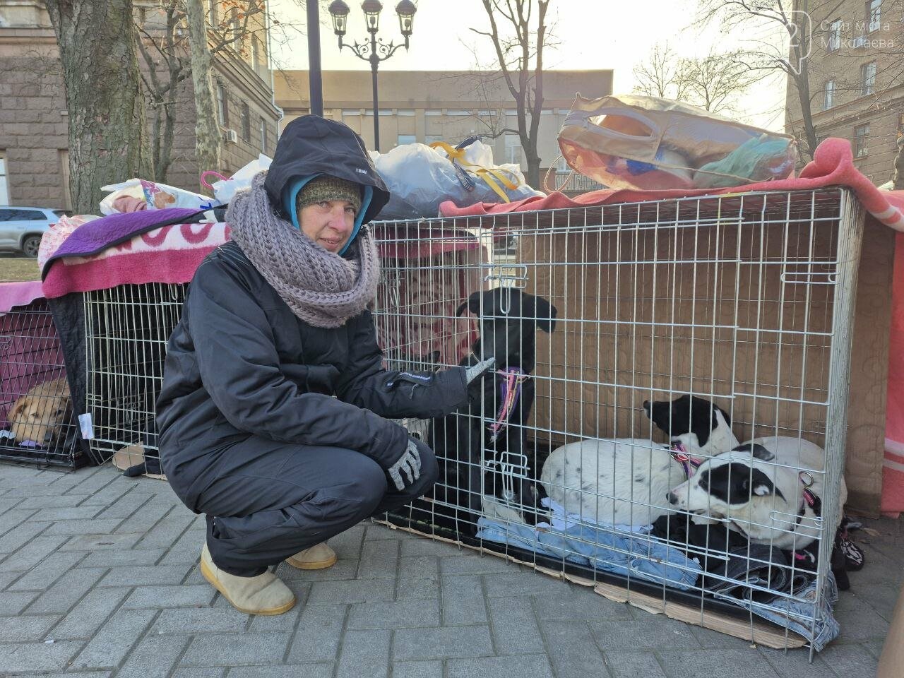 Мария – владелица приюта