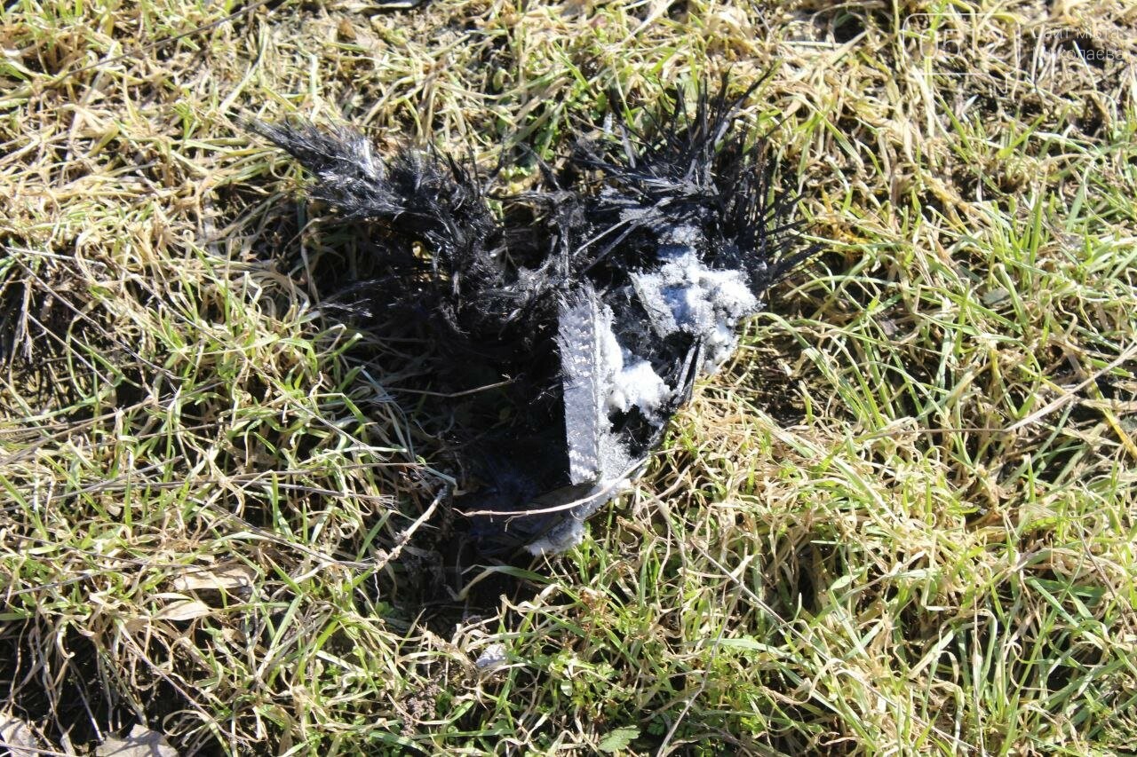 Последствия атаки по Николаеву