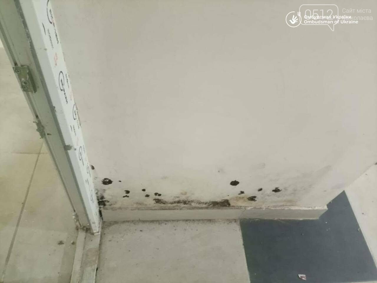 Проверка укрытий в Николаеве