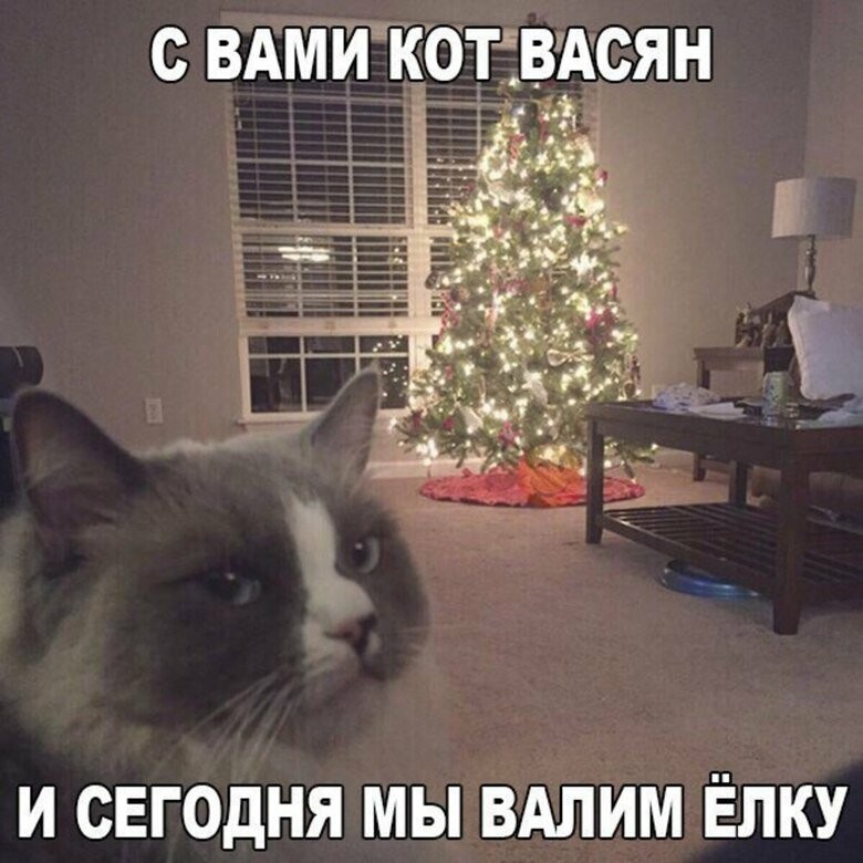 Новогодняя Елка Прикол
