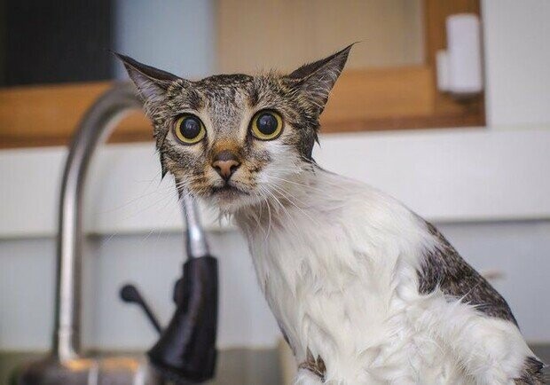 В Ингульском районе Николаева до вечера не будет воды