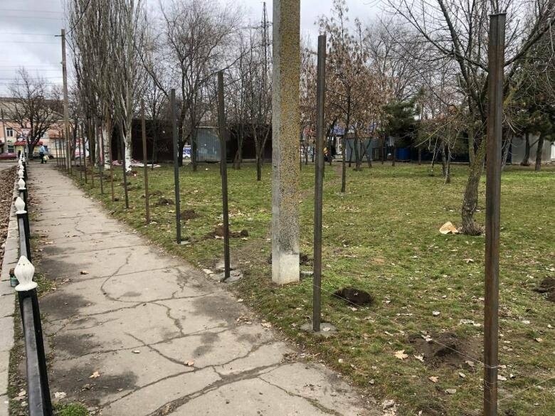 В Николаеве застройщику ТЦ возле автовокзала аннулировали акт и ордер на спил деревьев 