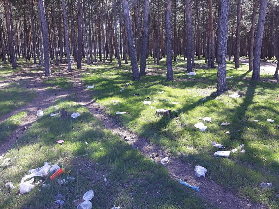Экологическая катастрофа: Под Николаевом лес "захлебнулся"..., фото-2 Экологическая катастрофа: Под Николаевом лес "захлебнулся" в мусоре, - ФОТО, фото-2