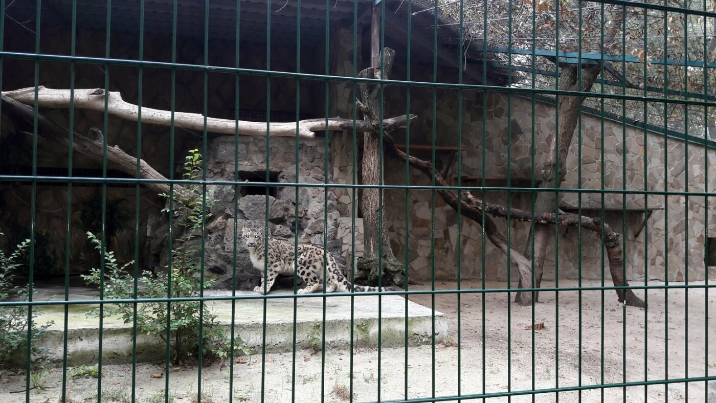 зоопарк николаев