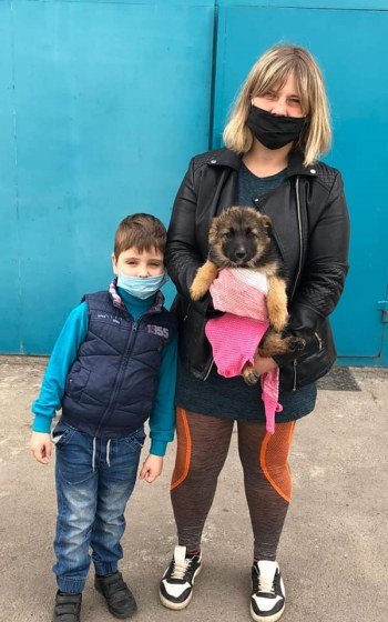За месяц 32 собаки из центра защиты животных Николаева нашл..., фото-2 За месяц 32 собаки из центра защиты животных Николаева нашли себе хозяев, - ФОТО, фото-2