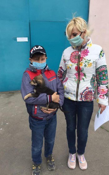 За месяц 32 собаки из центра защиты животных Николаева нашл..., фото-3 За месяц 32 собаки из центра защиты животных Николаева нашли себе хозяев, - ФОТО, фото-3
