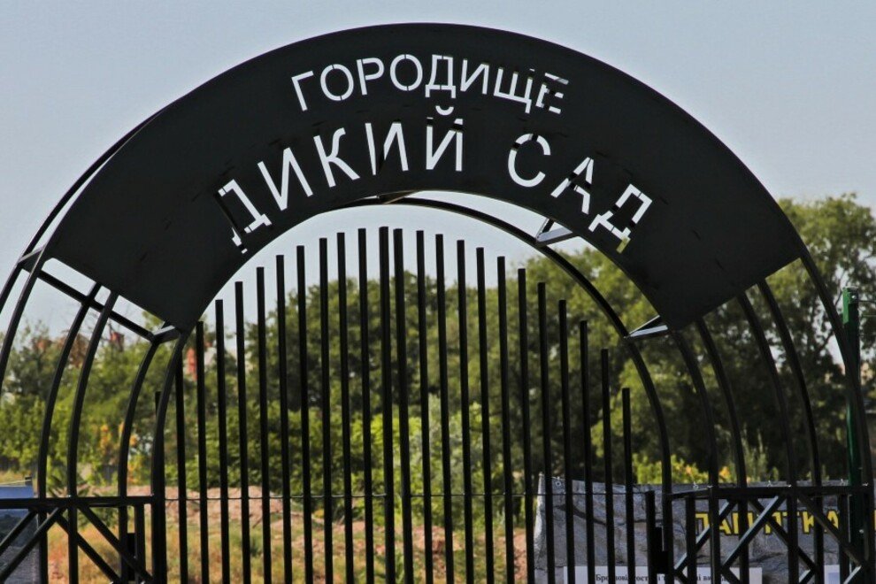 Древнее городище «Дикий сад»