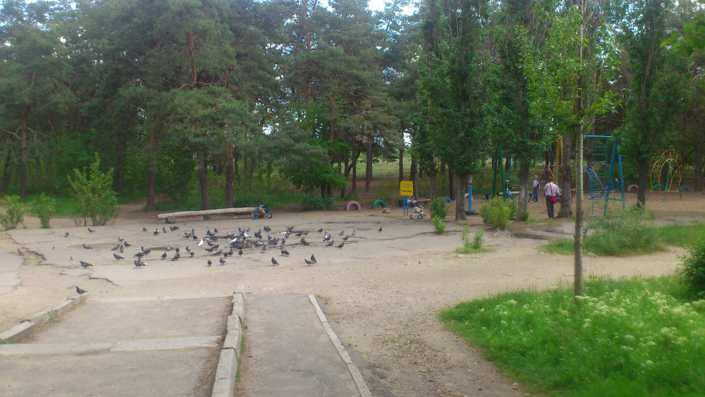 Парк 