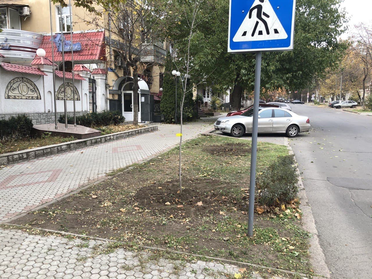 миллион деревьев для Николаева
