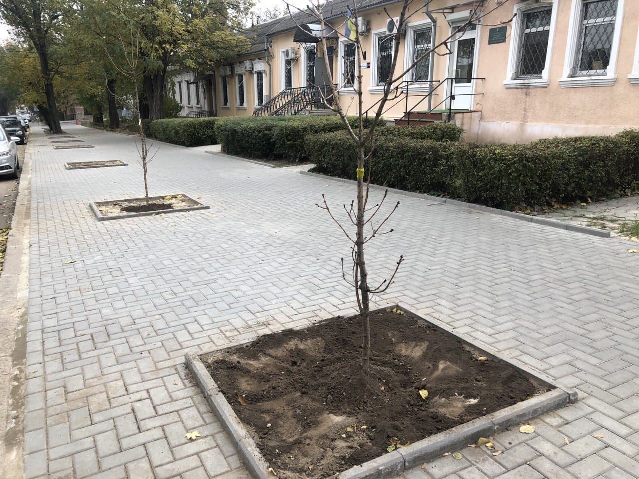 миллион деревьев для Николаева