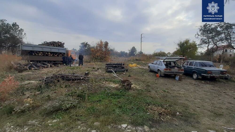 В одном из микрорайонов Николаева полиция обнаружила “КАМАЗ” с незаконно спиленными деревьями