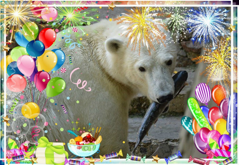 Фото с днем рождения с медведем