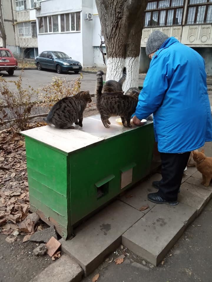 В Николаеве две пенсионерки построили дом для котов В Николаеве две пенсионерки построили дом для котов