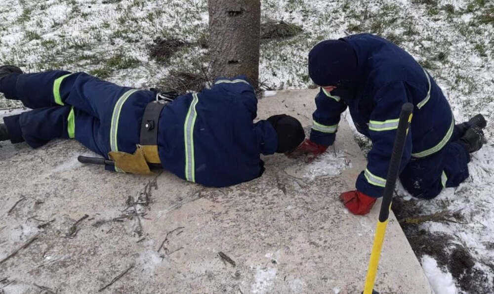 В Николаевской области спасатели помогли щенку, ГУ ГСЧС Украины в Николаевской области