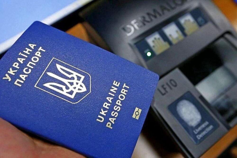 Стоимость услуг