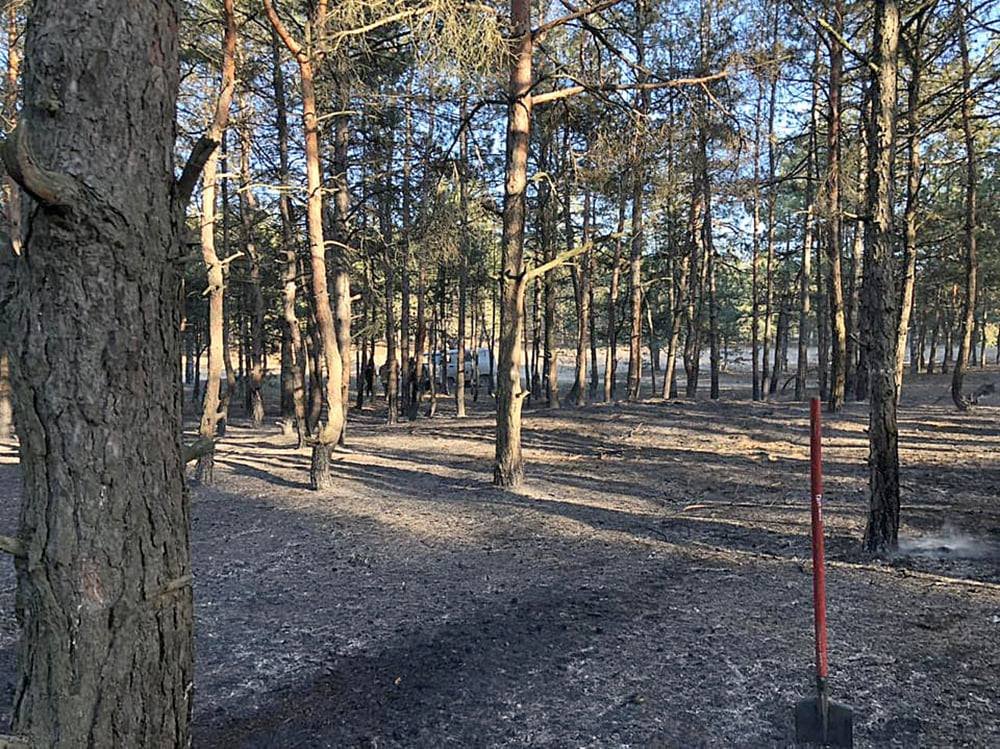 Пожар в Балабановском лесу Пожар в Балабановском лесу