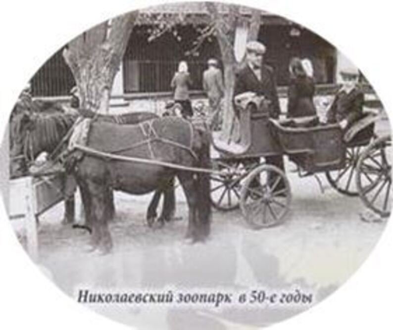Зоосад в 50-е годы