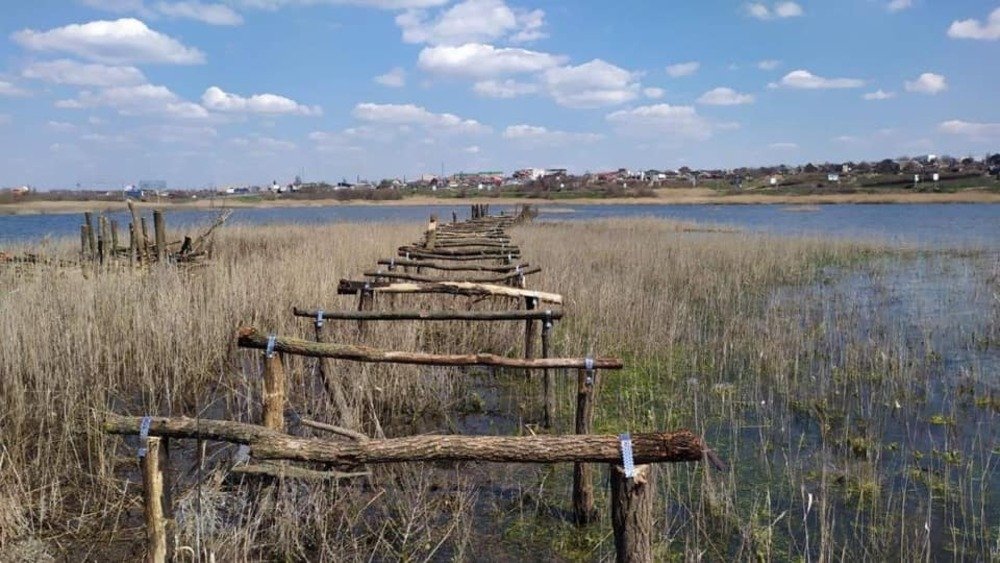 Фото. А. Замазеевой, Тилигульский парк Тилигульский парк