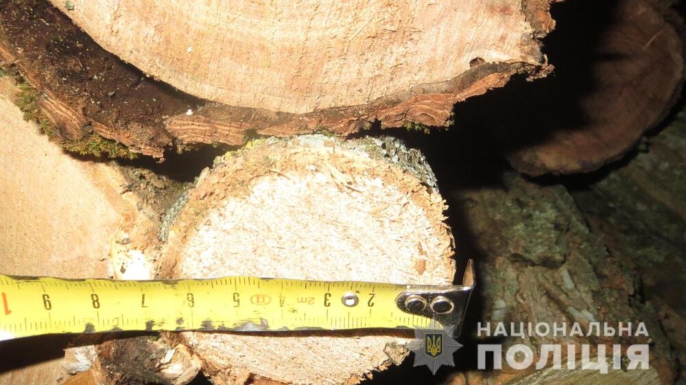 В Николаевской области полиция задержала водителя “ГАЗели”, срубившего незаконно деревья