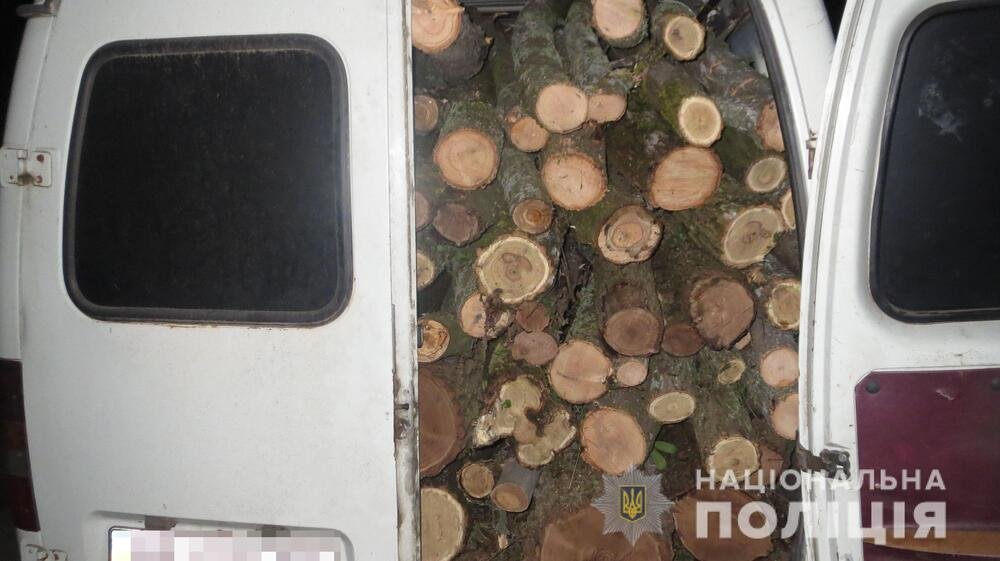В Николаевской области полиция задержала водителя “ГАЗели”, срубившего незаконно деревья