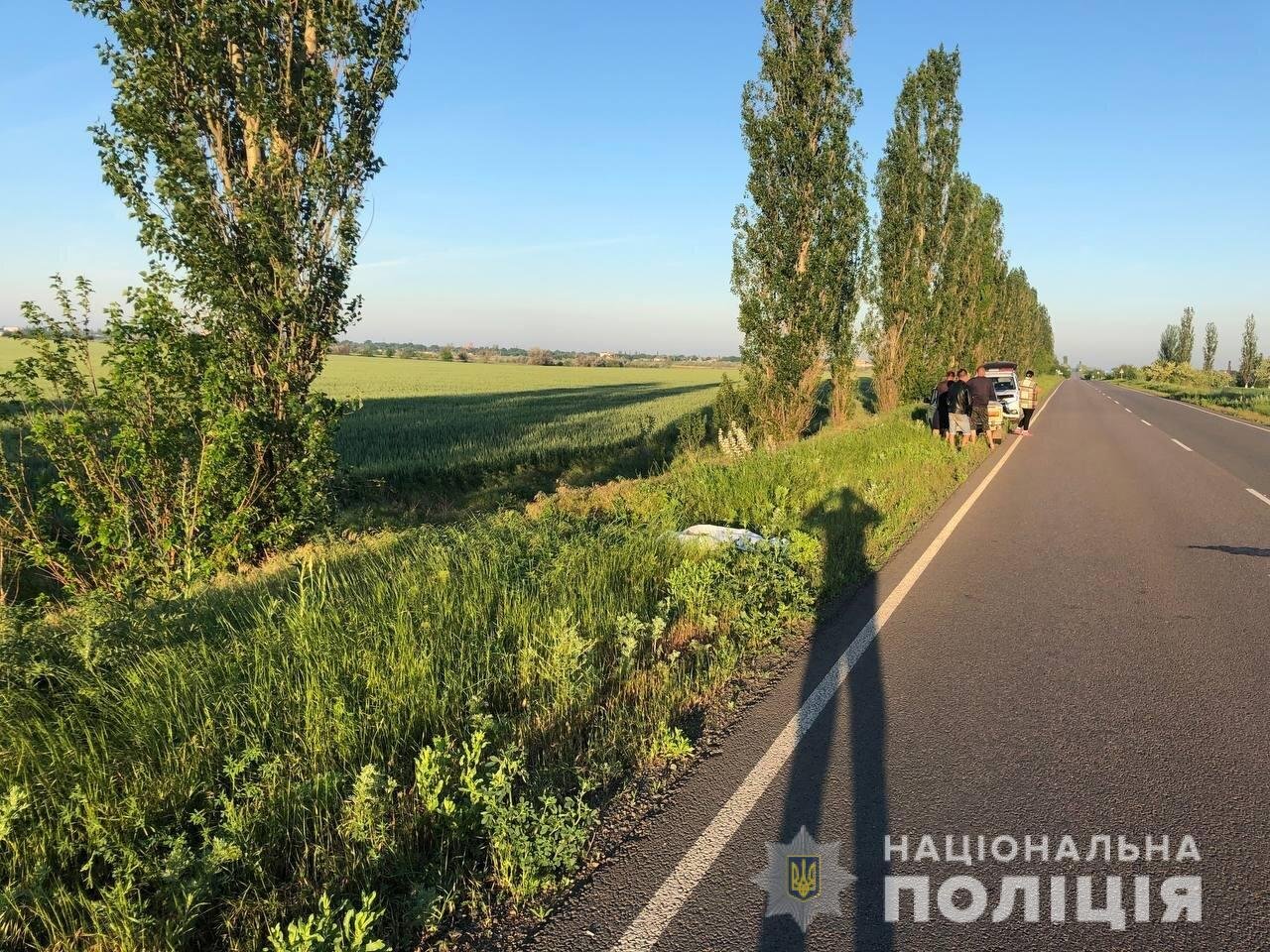 Смертельное ДТП на Николаевщине: водитель мотоцикла врезался в дерево, - ФОТО