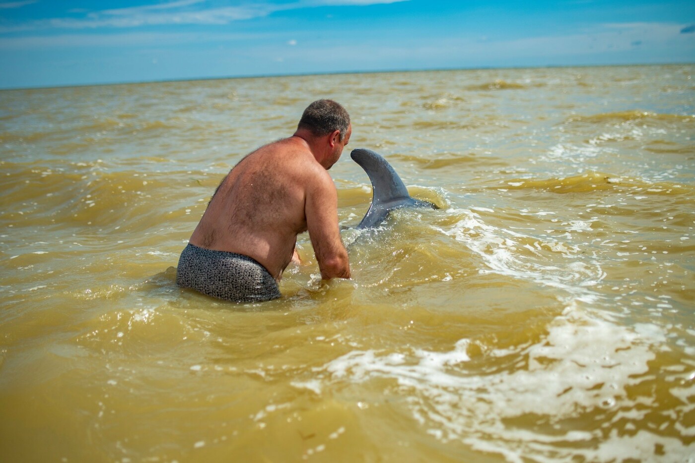 Спасли и выпустили в море дельфина