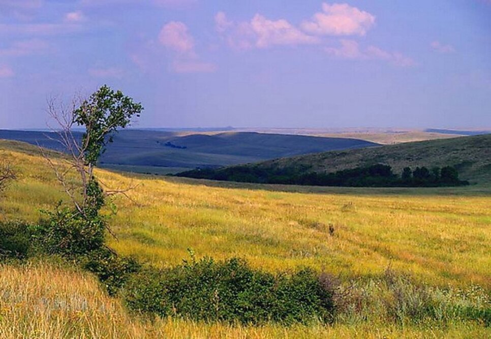 Заповедник