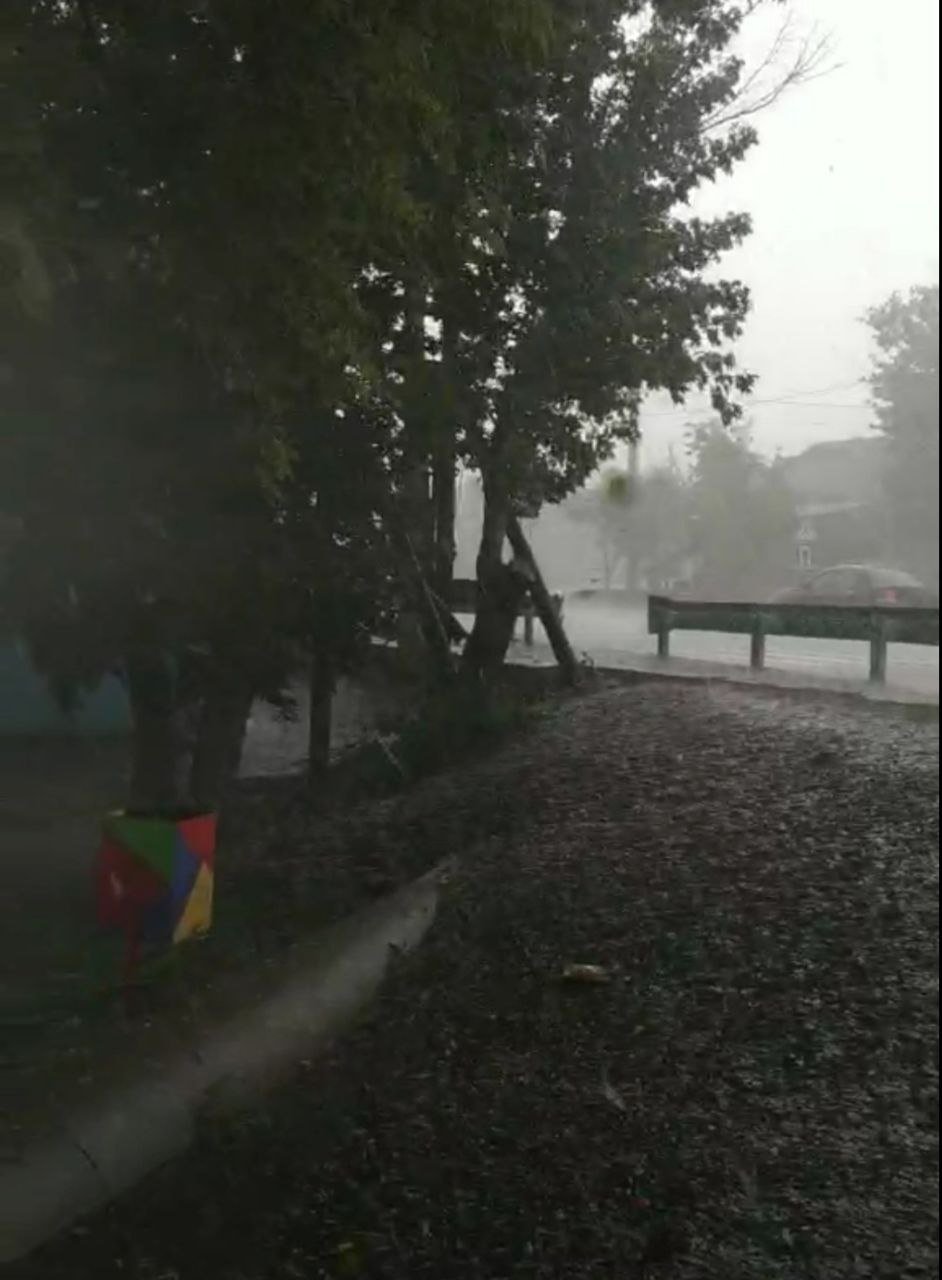 В некоторых районах Николаевщины прошел град с дождем, - ФОТО