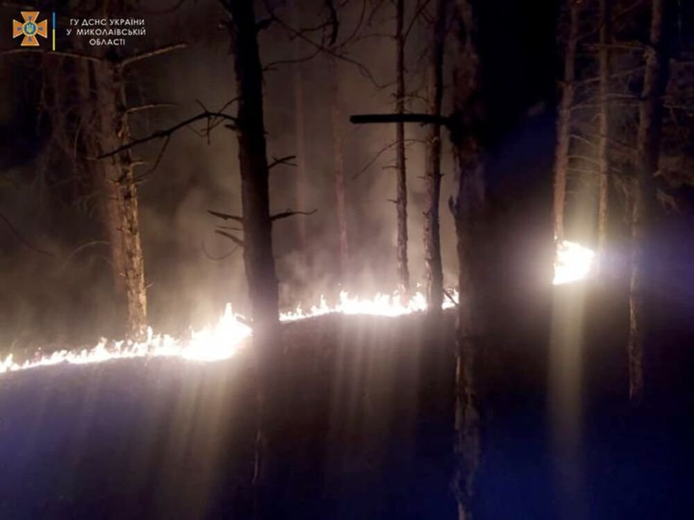 Пожар в Балабановском лесу