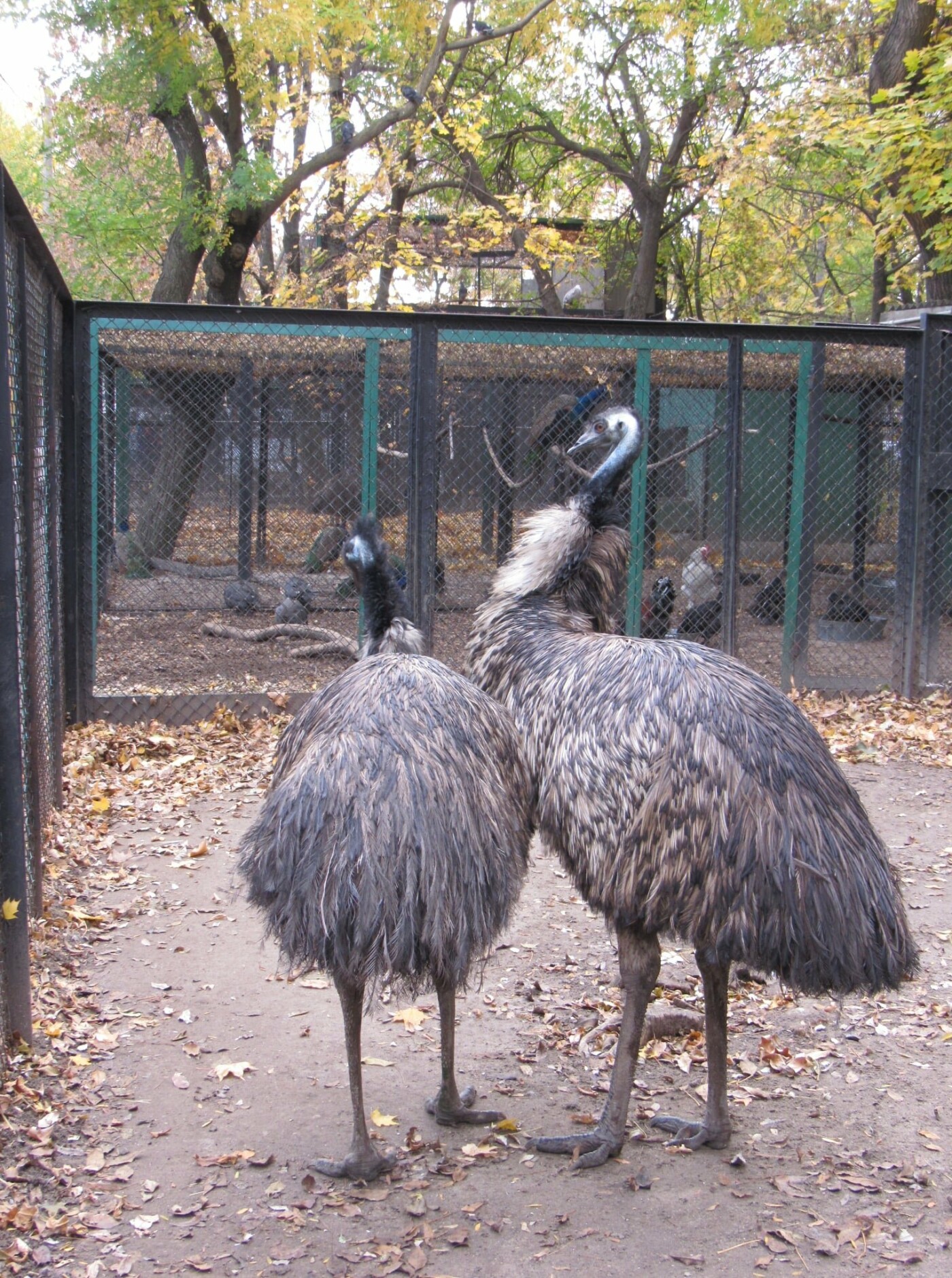 Животные в Николаевской зоопарке