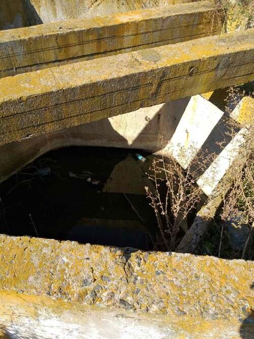 На Николаевщине коммунальное предприятие нанесло ущерб окружающей среде на 170 тысяч гривен, - ФОТО