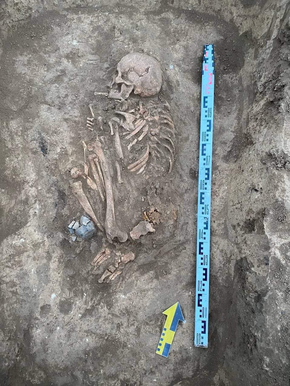 Курган в Николаевской области Курган в Николаевской области