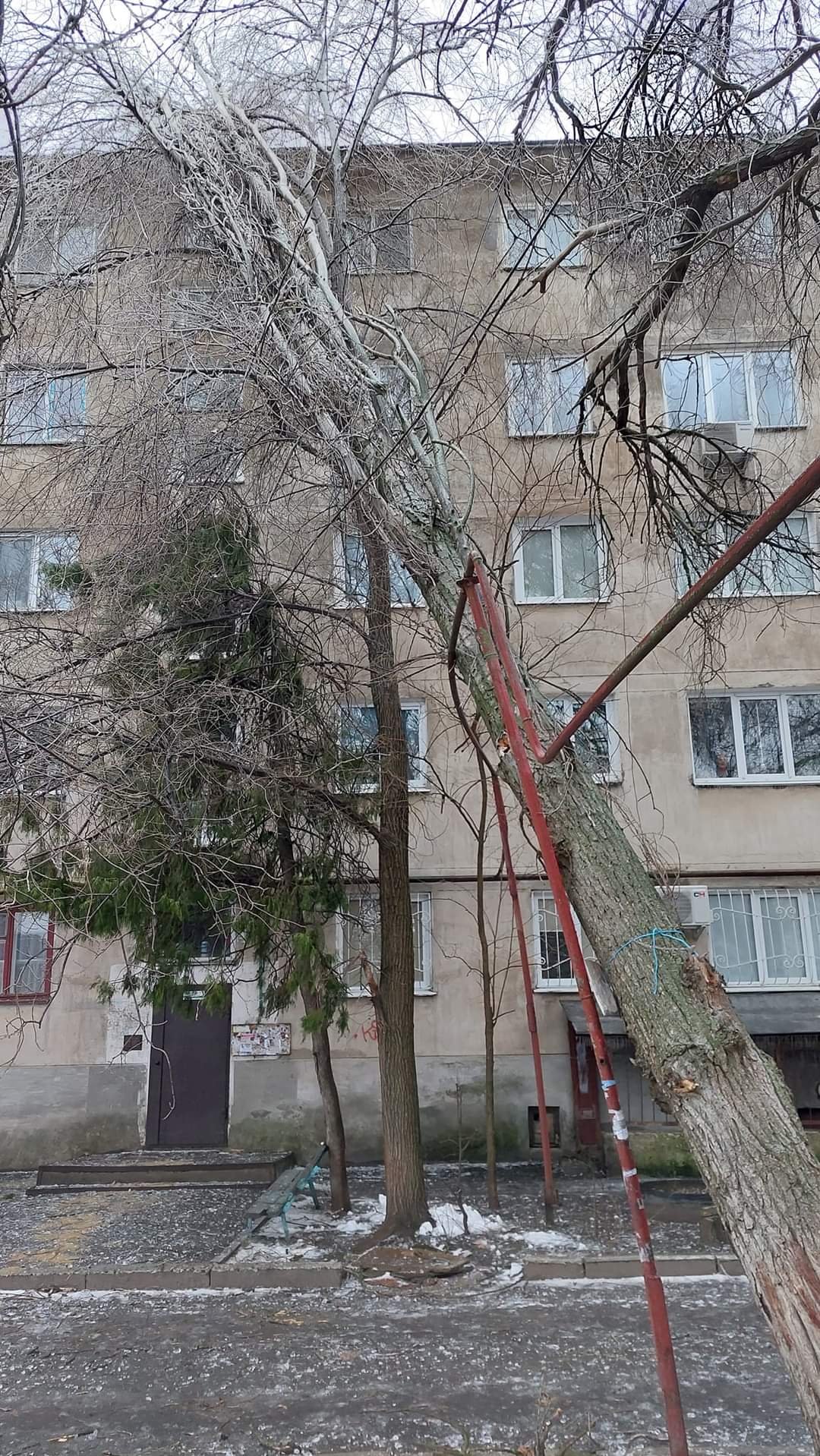Дерево упало на трубу