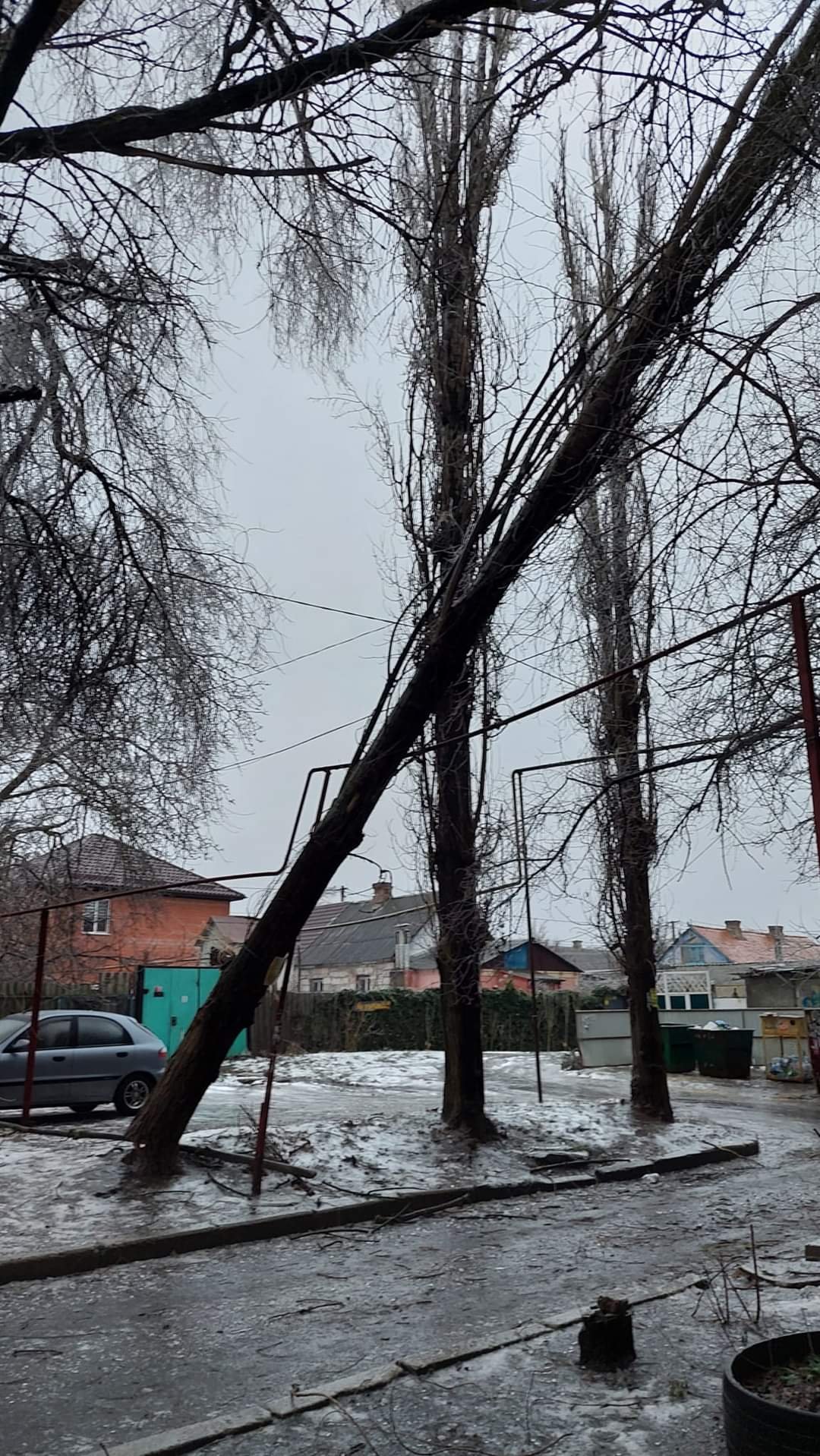 Дерево упало на трубу