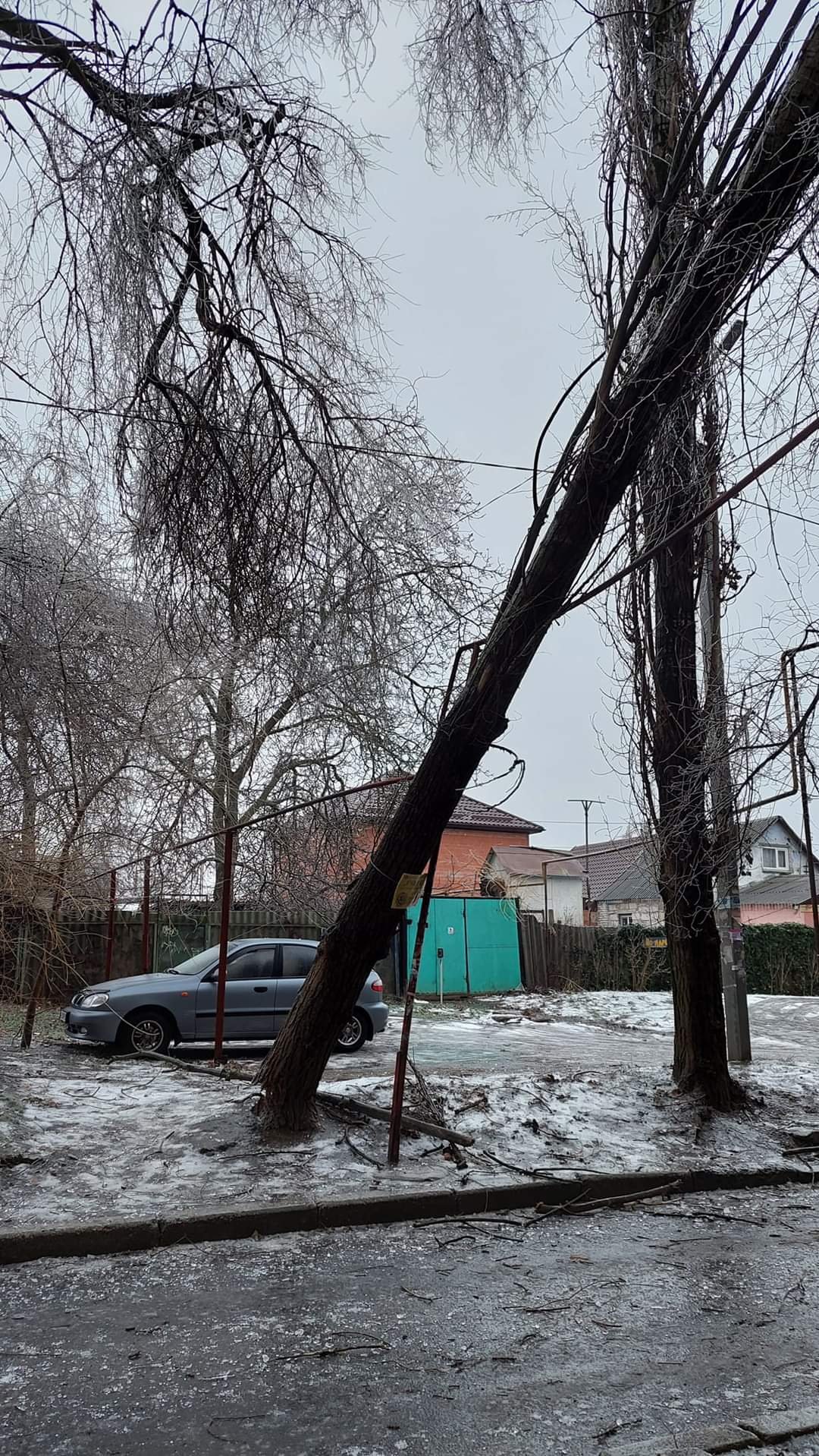 Дерево упало на трубу