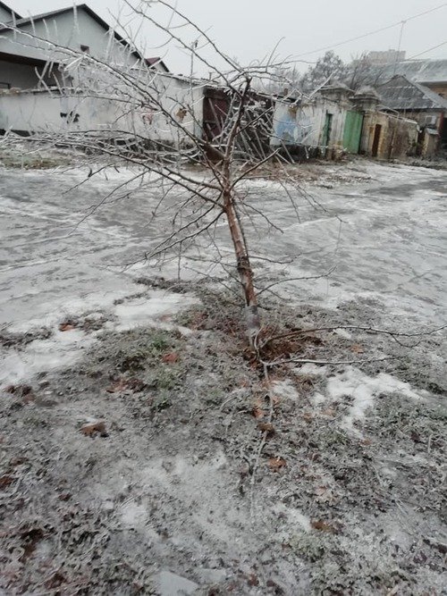 гололед в центральном районе николаева