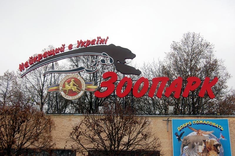 День влюбленныхв Николаеве