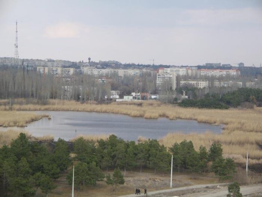 Лески