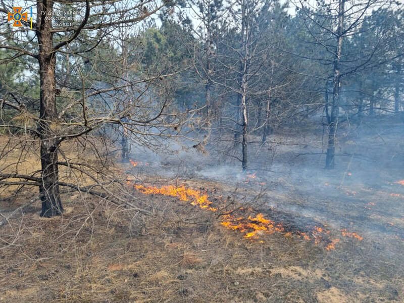 пожежа на миколаївщині