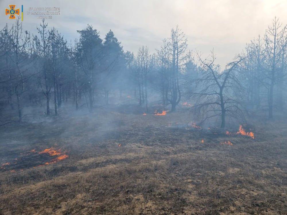 пожежа на миколаївщині