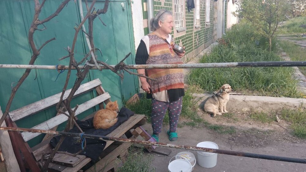 допомога тваринам