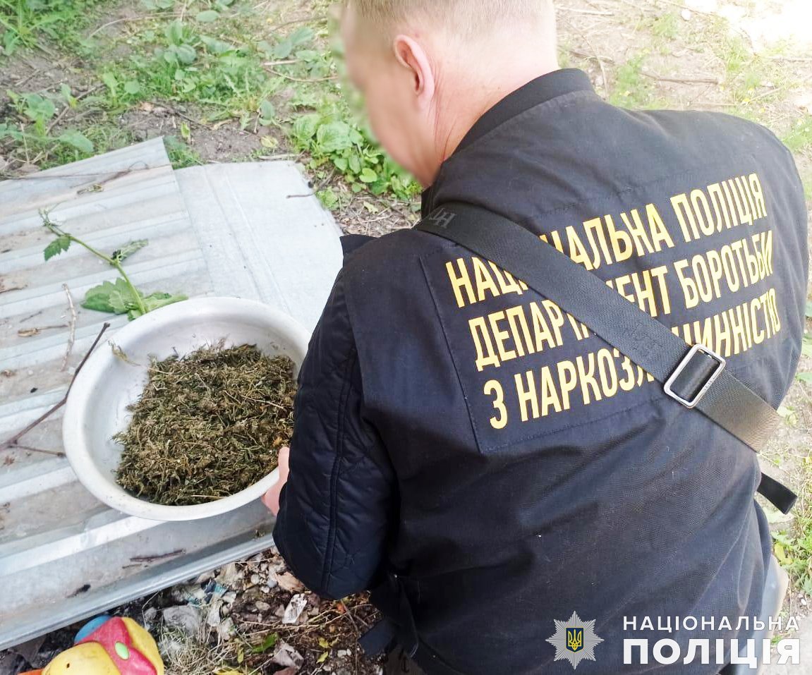 миколаївська поліція викрила чоловіка, який вирощував наркоту