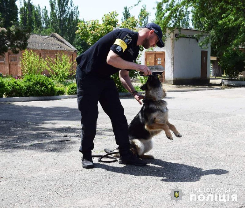 У Миколаєві для дітлахів-переселенців правоохоронці влаштували розважальні заходи