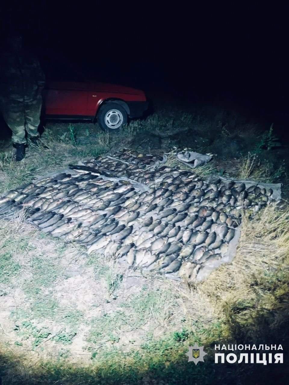 незаконний вилов риби